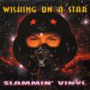 RAR01201 - Vinylgroover and Trixxy - Wishing on a Star - WAV